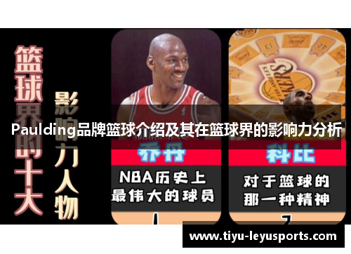 Paulding品牌篮球介绍及其在篮球界的影响力分析