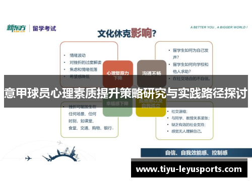 意甲球员心理素质提升策略研究与实践路径探讨