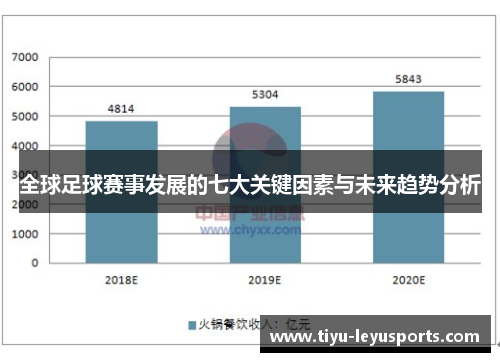 全球足球赛事发展的七大关键因素与未来趋势分析