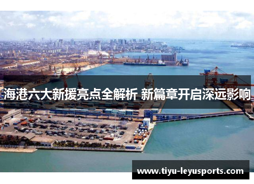 海港六大新援亮点全解析 新篇章开启深远影响