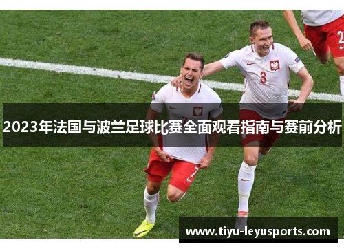 2023年法国与波兰足球比赛全面观看指南与赛前分析