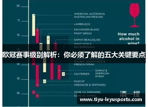欧冠赛事级别解析:你必须了解的五大关键要点 欧冠赛事级别解析:你必须了解的五大关键要点